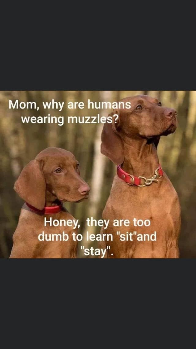 museliere
