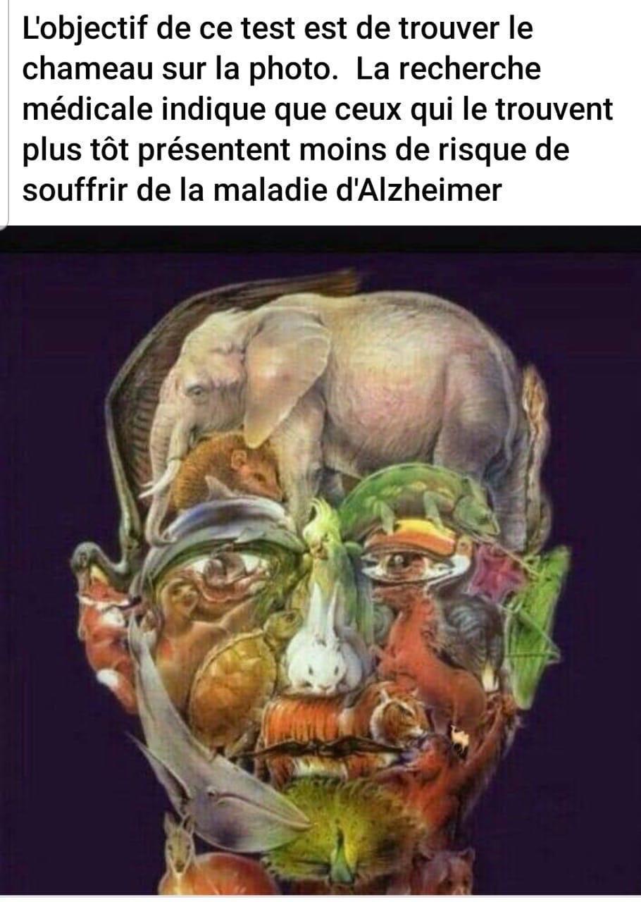 ead7d39e-50e8-4fae-96b5-92897df09e65