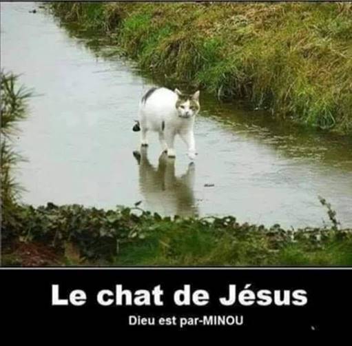 image023