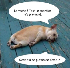 image008