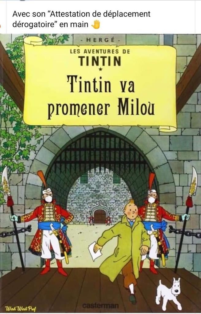 tintin1